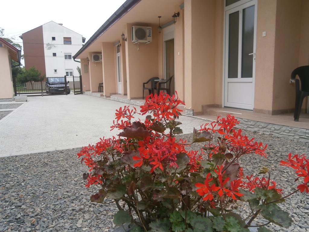 Apartments Svetlica 바츠키 페트로바츠 외부 사진